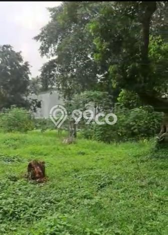 Tanah Kavling Dijual di Pondok Indah, Jakarta Selatan dengan Luas Tanah 4000m2 Tanah Kavling Dijual di Pondok Indah, Jakarta Selatan dengan Luas Tanah 4000m2