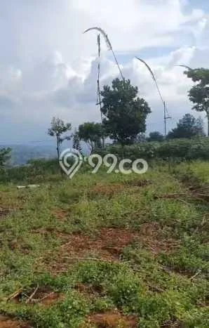 Tanah Kavling Dijual di Bogor dengan Spesifikasi 4000m2 Tanah Kavling Dijual di Bogor dengan Spesifikasi 4000m2