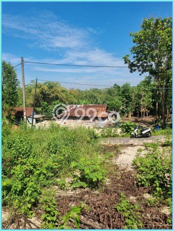 Tanah Kosong Dijual di Bantul dengan Area 147m2 Tanah Kosong Dijual di Bantul dengan Area 147m2