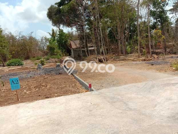 Tanah Dijual Dekat Jl Wates Moyudan Sudah SHM Tanah Dijual Dekat Jl Wates Moyudan Sudah SHM