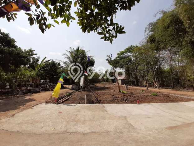 Tanah Dijual Dekat Jl Wates Moyudan Sudah SHM Tanah Dijual Dekat Jl Wates Moyudan Sudah SHM