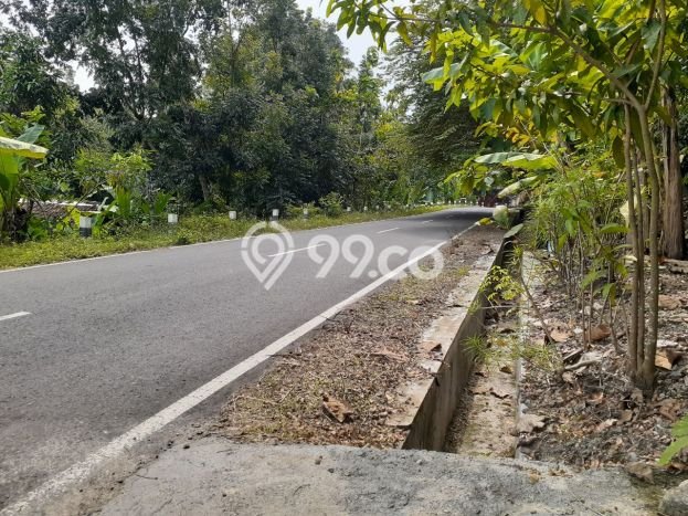 Dijual Tanah di Turi Sleman Luas 79m2 SHM Dijual Tanah di Turi Sleman Luas 79m2 SHM