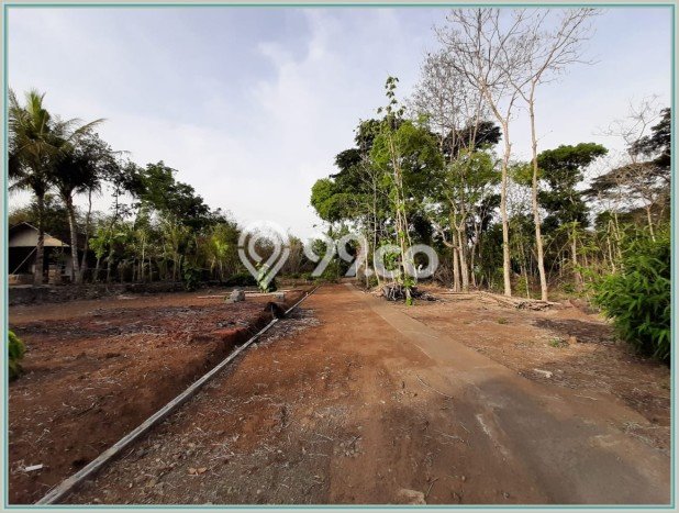 Lahan untuk Dijual di Godean Sleman Luas 130m2 Lahan untuk Dijual di Godean Sleman Luas 130m2