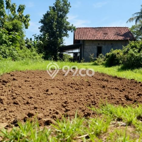 Lahan Dijual Lokasi Strategis di Yogyakarta dengan Luas 150m2 Lahan Dijual Lokasi Strategis di Yogyakarta dengan Luas 150m2