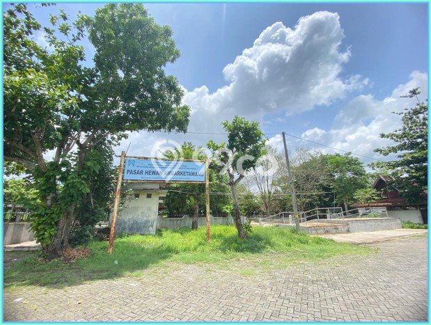 Siap Huni Rumah Minimalis & Modern LB 40m2 di Maguwoharjo Siap Huni Rumah Minimalis & Modern LB 40m2 di Maguwoharjo