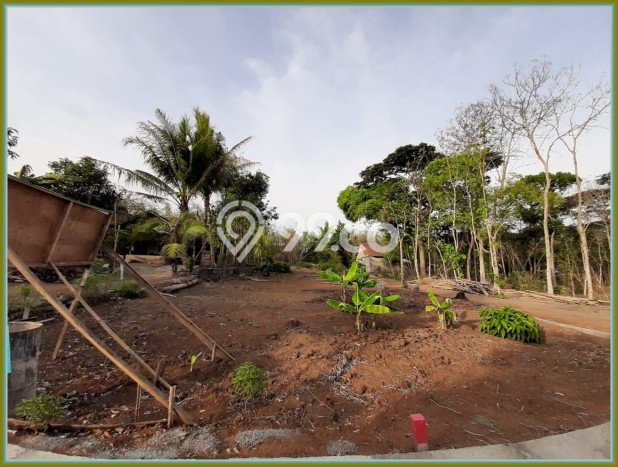 Jual Tanah Area Strategis Kawasan Godean, Luas 130m², Cocok untuk Pengembangan Jual Tanah Area Strategis Kawasan Godean, Luas 130m², Cocok untuk Pengembangan