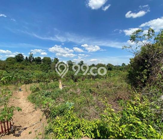 Tanah Kavling di Serang Dijual dengan Luas 150000m2 Tanah Kavling di Serang Dijual dengan Luas 150000m2