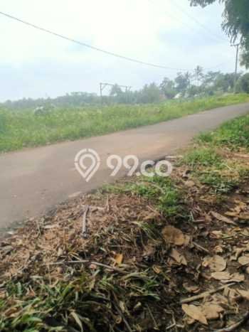 Lahan Investasi Lokasi Cikulur Lebak SHM Lahan Investasi Lokasi Cikulur Lebak SHM