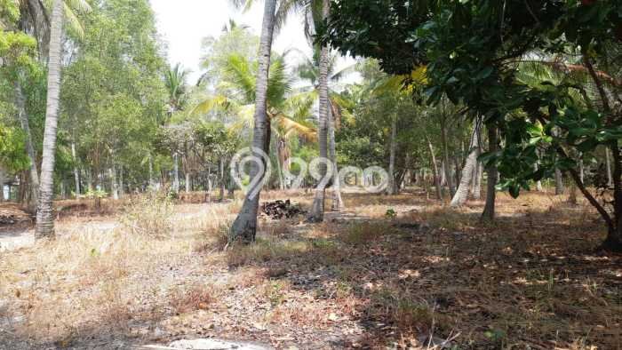 Tanah untuk Dijual Lokasi Pulau Tidung, Kepulauan Seribu Luas 20000m2 - Tanah untuk Dijual Lokasi Pulau Tidung, Kepulauan Seribu Luas 20000m2 -