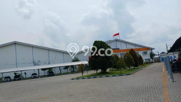 Pabrik Dijual di Nganjuk LT 56716m2, LB 44000m2 Solusi Investasi Cerdas Pabrik Dijual di Nganjuk LT 56716m2, LB 44000m2 Solusi Investasi Cerdas