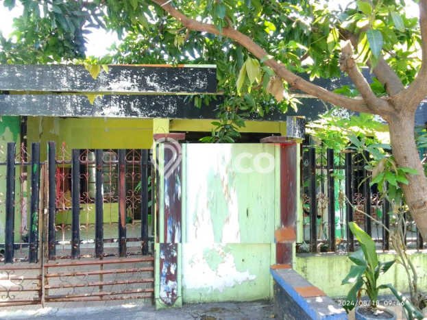 Dijual Cepat Rumah Bagus Siap Huni LB 150m2 di Gubeng, Surabaya Dijual Cepat Rumah Bagus Siap Huni LB 150m2 di Gubeng, Surabaya
