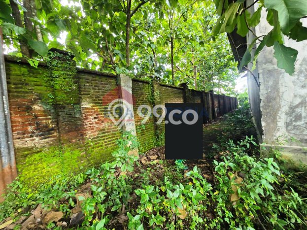 Gudang disewakan lokasi strategis Kepanjen Malang 1200m2 Gudang disewakan lokasi strategis Kepanjen Malang 1200m2
