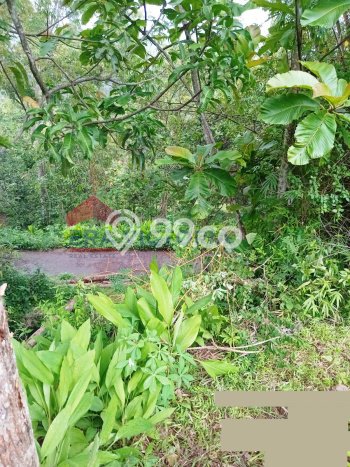 Untuk Dijual Tanah di Nganjuk Nganjuk Luas 1061m2 SHM Untuk Dijual Tanah di Nganjuk Nganjuk Luas 1061m2 SHM
