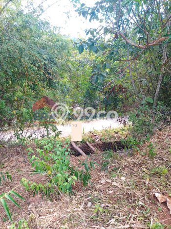 Untuk Dijual Tanah di Nganjuk Nganjuk Luas 1061m2 SHM Untuk Dijual Tanah di Nganjuk Nganjuk Luas 1061m2 SHM