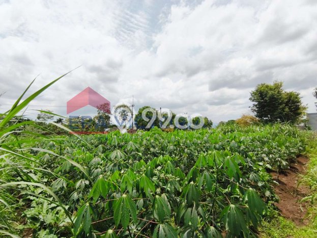 Tanah Strategis Dijual di Kedungkandang Malang 366m2 Tanah Strategis Dijual di Kedungkandang Malang 366m2