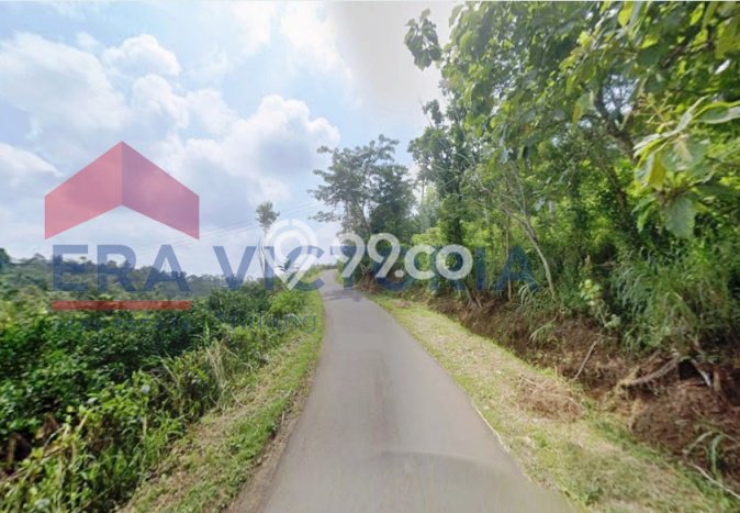 Kavling Tanah Dijual di Wagir Malang Spesifikasi 2476m2 Kavling Tanah Dijual di Wagir Malang Spesifikasi 2476m2