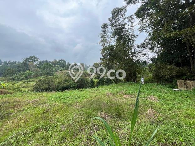 Tanah di Megamendung, Luas 400m2m², Area Strategis, Lingkungan Nyaman, Bebas Banjir Tanah di Megamendung, Luas 400m2m², Area Strategis, Lingkungan Nyaman, Bebas Banjir