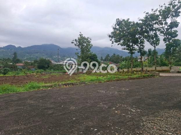 Kavling Tanah Dijual di Cisarua Bogor Spesifikasi 1000m2 Kavling Tanah Dijual di Cisarua Bogor Spesifikasi 1000m2