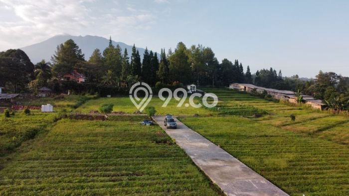 Tanah Dijual di Bogor Seluas 250m2 Strategis Tanah Dijual di Bogor Seluas 250m2 Strategis