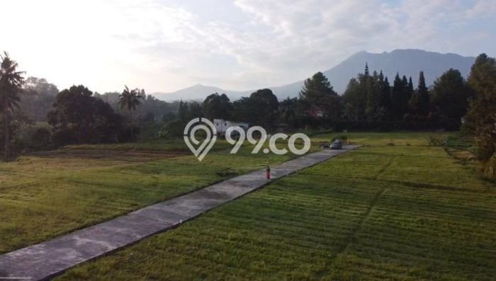 Kavling Tanah Dijual di Megamendung Bogor Spesifikasi 250m2 Kavling Tanah Dijual di Megamendung Bogor Spesifikasi 250m2