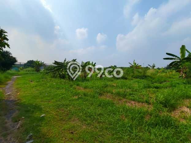 Kavling Tanah Dijual di Tangerang Tangerang Spesifikasi 2000m2 Kavling Tanah Dijual di Tangerang Tangerang Spesifikasi 2000m2