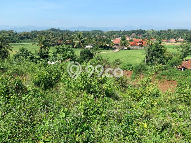 Untuk Dijual Tanah di Cianjur Cianjur Luas 2.7e+09m2 SHM Untuk Dijual Tanah di Cianjur Cianjur Luas 2.7e+09m2 SHM