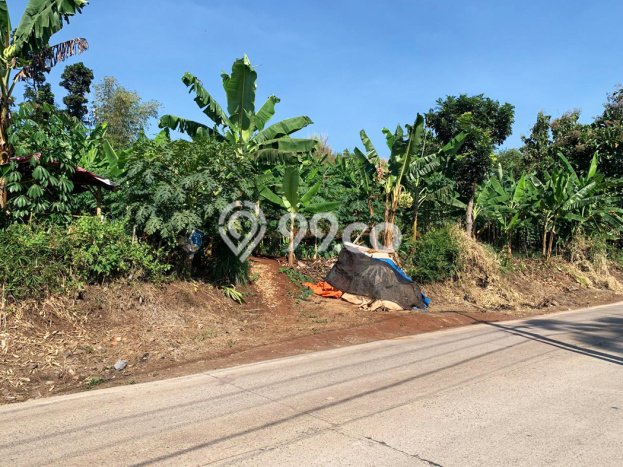 Untuk Dijual Tanah di Cianjur Cianjur Luas 2.7e+09m2 SHM Untuk Dijual Tanah di Cianjur Cianjur Luas 2.7e+09m2 SHM