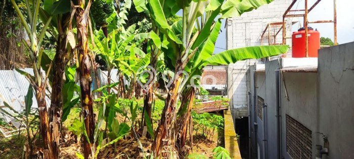 Kavling Tanah untuk Dijual di Awiligar, Bandung, Luas 238m2 Kavling Tanah untuk Dijual di Awiligar, Bandung, Luas 238m2