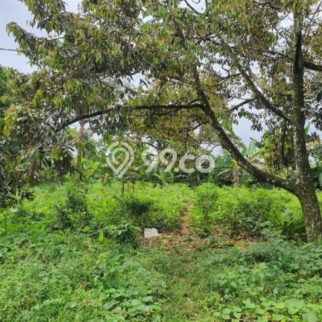 Tanah Kavling Dijual di Tanah Sareal, Bogor dengan Luas Tanah 11000m2 Tanah Kavling Dijual di Tanah Sareal, Bogor dengan Luas Tanah 11000m2