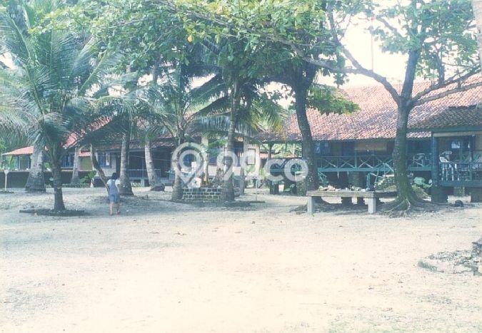 Dijual Rumah 15 Kamar Lokasi Strategis Bagus dan Strategis di Ciracap Dijual Rumah 15 Kamar Lokasi Strategis Bagus dan Strategis di Ciracap