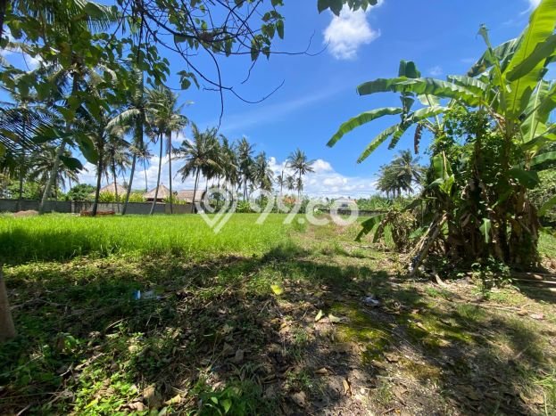 Lahan Dijual Lokasi Strategis di Gianyar dengan Luas 500m2 Lahan Dijual Lokasi Strategis di Gianyar dengan Luas 500m2