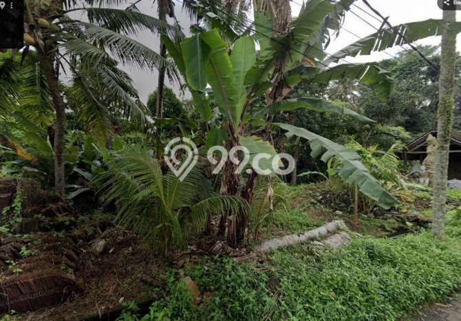 Kavling Tanah Dijual di Ubud, Gianyar, Luas 618m2 Area Strategis Kavling Tanah Dijual di Ubud, Gianyar, Luas 618m2 Area Strategis