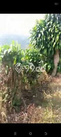 Dijual Tanah 20000m2 di Bedugul, Tabanan Dijual Tanah 20000m2 di Bedugul, Tabanan
