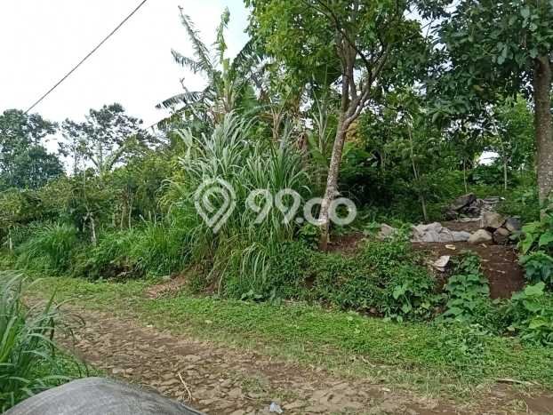 Tanah Siap Bangun Dijual di Buleleng Punya Luas 1500m2 Tanah Siap Bangun Dijual di Buleleng Punya Luas 1500m2