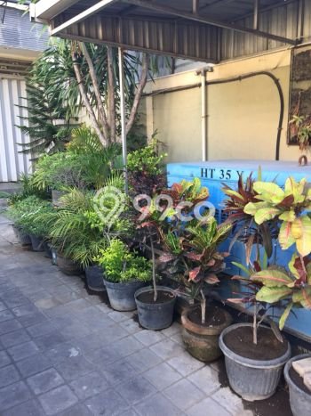 Komersial Dijual di Denpasar Barat Denpasar dengan LB 750m2 Komersial Dijual di Denpasar Barat Denpasar dengan LB 750m2