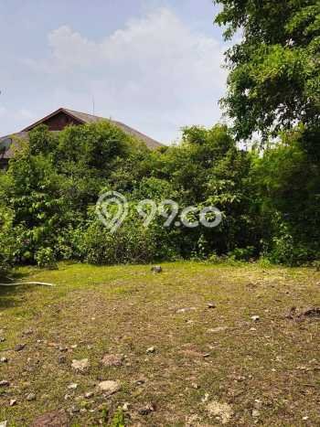 Lahan Kosong Dijual di Badung dengan Area 600m2 Lahan Kosong Dijual di Badung dengan Area 600m2