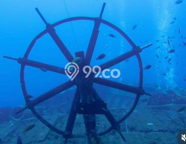 Tanah di Karangasem, Karangasem Luas 3200m2 Dijual Segera Tanah di Karangasem, Karangasem Luas 3200m2 Dijual Segera