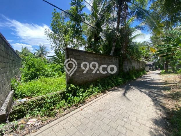 Lahan Dijual Lokasi Strategis di Gianyar dengan Luas 500m2 Lahan Dijual Lokasi Strategis di Gianyar dengan Luas 500m2