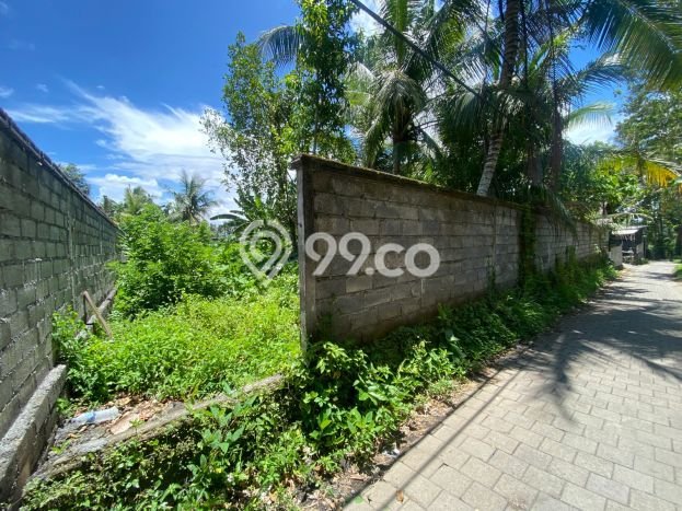 Lahan Dijual Lokasi Strategis di Gianyar dengan Luas 500m2 Lahan Dijual Lokasi Strategis di Gianyar dengan Luas 500m2