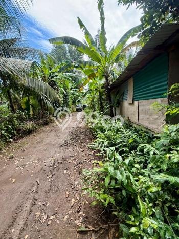 Tanah di Gianyar, Gianyar Luas 1250m2 Dijual Segera Tanah di Gianyar, Gianyar Luas 1250m2 Dijual Segera