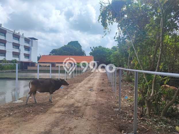 Tanah Dijual Lokasi Strategis di Badung dengan Luas 5300m2 Tanah Dijual Lokasi Strategis di Badung dengan Luas 5300m2