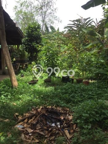 Tanah Dijual di Depok Seluas 980m2 Strategis Tanah Dijual di Depok Seluas 980m2 Strategis