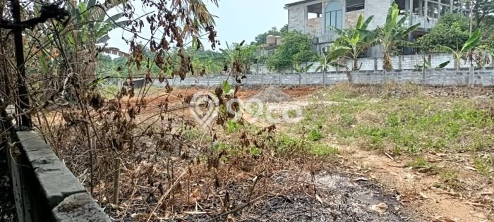 Tanah Dijual di Bogor Seluas 2000m2 Strategis Tanah Dijual di Bogor Seluas 2000m2 Strategis