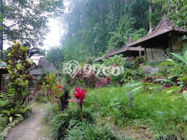 Kavling Tanah untuk Dijual di Kaliurang, Sleman, Luas 3890m2 Kavling Tanah untuk Dijual di Kaliurang, Sleman, Luas 3890m2