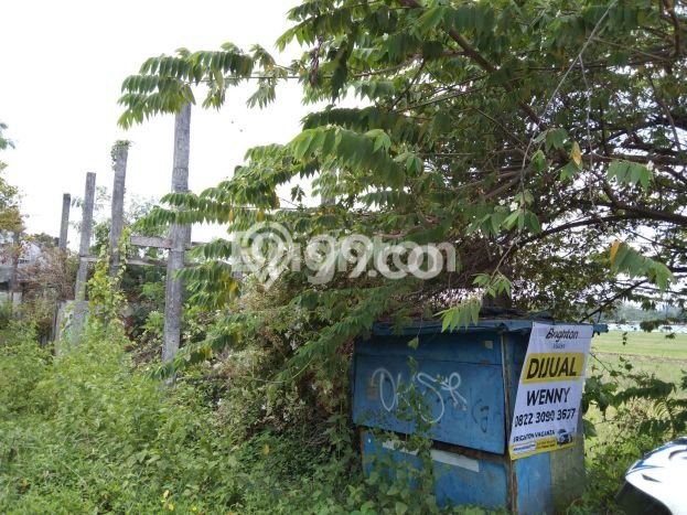 Tanah Dijual Lokasi Gamping, Sleman Luas 1443m2 Legalitas Aman Tanah Dijual Lokasi Gamping, Sleman Luas 1443m2 Legalitas Aman
