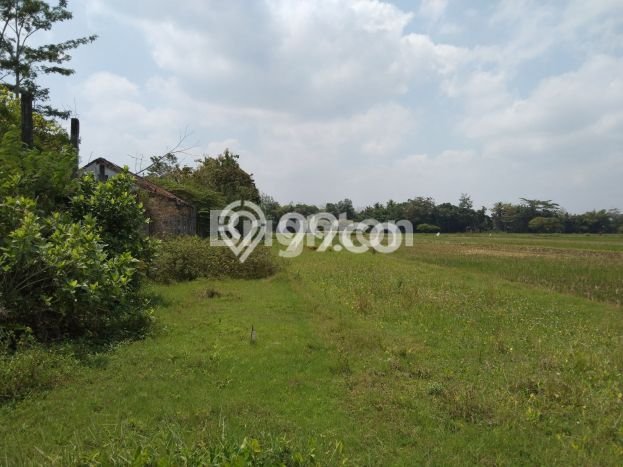 Tanah Dijual Lokasi Gamping, Sleman Luas 1443m2 Legalitas Aman Tanah Dijual Lokasi Gamping, Sleman Luas 1443m2 Legalitas Aman