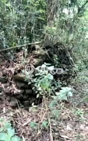 LOKASI STRATEGIS! Tanah Kawasan Pajangan, Luas 50500m2m², Area Asri, Cocok untuk Hunian LOKASI STRATEGIS! Tanah Kawasan Pajangan, Luas 50500m2m², Area Asri, Cocok untuk Hunian