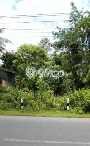 LOKASI STRATEGIS! Tanah Kawasan Pajangan, Luas 50500m2m², Area Asri, Cocok untuk Hunian LOKASI STRATEGIS! Tanah Kawasan Pajangan, Luas 50500m2m², Area Asri, Cocok untuk Hunian