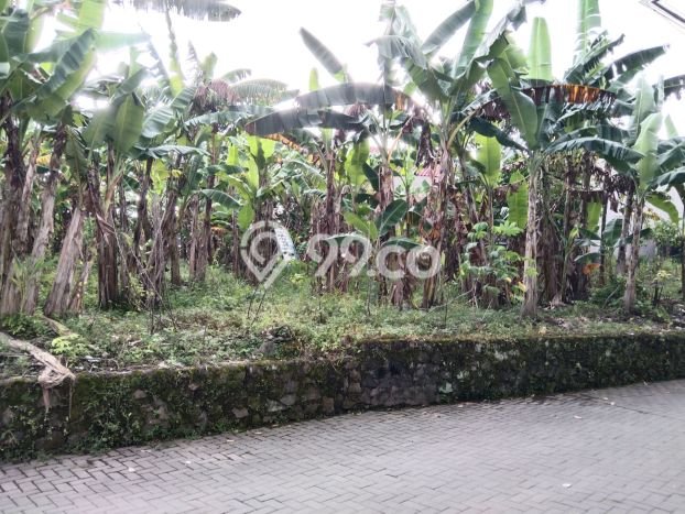 Tanah Dijual Lokasi Strategis di Sleman dengan Luas 520m2 Tanah Dijual Lokasi Strategis di Sleman dengan Luas 520m2