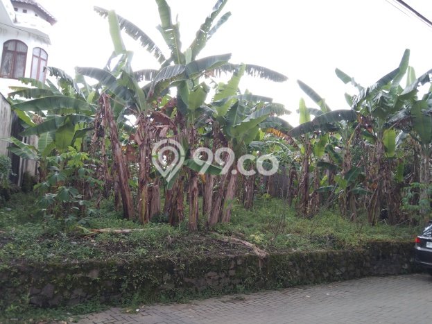 Tanah Dijual Lokasi Strategis di Sleman dengan Luas 520m2 Tanah Dijual Lokasi Strategis di Sleman dengan Luas 520m2